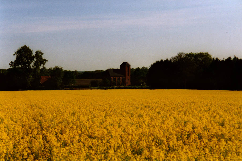 Kirche im Raps